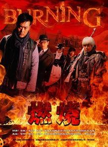 燃烧电视剧在线观看,揭秘都市生活背后的激情与挣扎  第2张